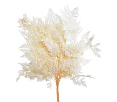 Přírodní kapradí alpské preparované dl. 40cm - 10ks WHITE