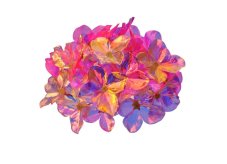 Opalizující hlava hortenzie 15 cm