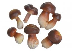 Umělé houby různých velikostí 6-9cm - 6ks