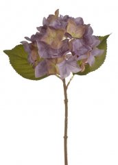Květ hortenzie na stonku s listy - květ Ø 14 cm, dl. 36 cm