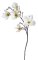 Umělá větvička kvetoucí magnolie, květ 7 cm, dl. 72 cm