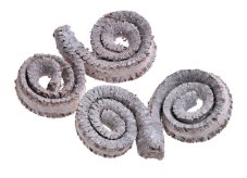 Přírodní materiál Palm Ring White Wash 11x18cm (10pc Poly)