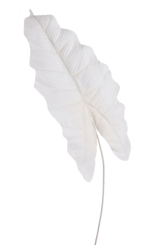 Dekorace umělý list alokacie dl. 53cm_01