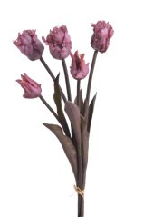 Tulipán papouščí svazek x 5, 45 cm