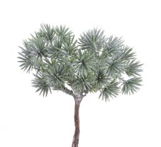 Větvička umělého modřínu  na drátku dl. 12cm - 6ks