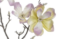 209CAN4006PT_20 magnolie 84cm