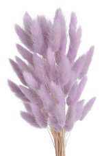 Přírodní sušený,bělený/barvený lagurus dl. 60cm  DIRTY PINK