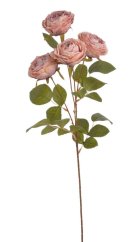 Umělá usušená růže na stonku 4 květy  s listy,  hlavičky Ø 8cm, dl.64 cm