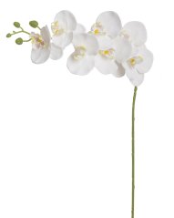 Lata umělé orchideje 7 květů s poupaty, květ  9cm/dl.77cm