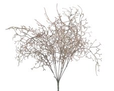 Tilandsia, 36 cm, 7 větviček, barva_18