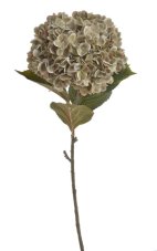 Umělá hortenzie s listy, hlava Ø 20cm, dl.80cm