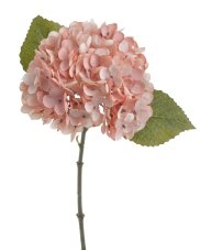 Květ hortenzie na stonku s listy - květ Ø 14 cm, dl. 32 cm