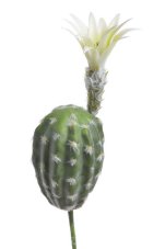Umělý kvetoucí kaktus H18cm