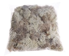 Island Moss – stabilizovaný dekorační mech 250 g