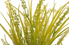 Umělá kvetoucí travina dl. 50cm