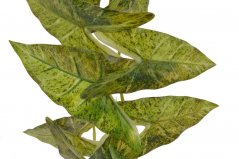 Umělá rostlina syngonium girlanda dl.162cm