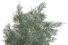 Umělá větvička cypřiše 66 cm – šedozelená