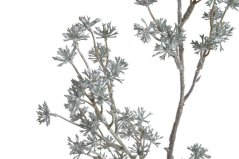 Vánoční dekorace - barvená větvička skimie dl. 64cm - zápich