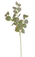 Umělý euklalytus dl. 64cm - zápich