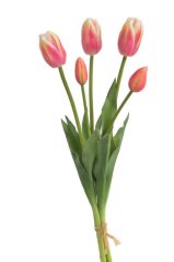 Svazek gumových tulipánů a poupat , hlavička 6,5cm, dl. celkem 46cm