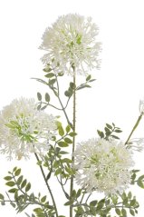 Umělý kvetoucí česnek polní, květ Ø 8cm/dl. 78cm