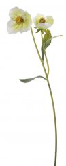 Kvetoucí umělá sasanka s 2 kvítky, květ Ø7cm/dl.60cm