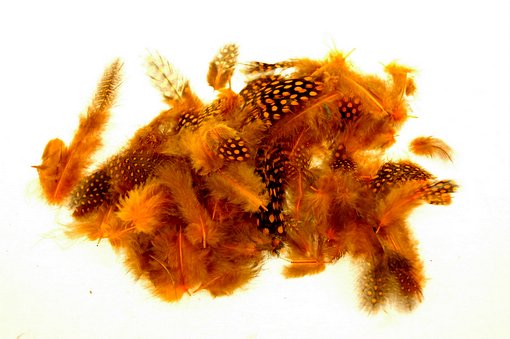 Přírodní barvené peří 3 - 7 cm - Barva: Oranžová