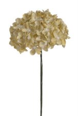 Divoký bez svazek 6 stonků s kvítky, dl. 22 cm, barva 23