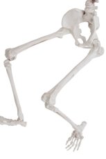 Závěsná dekorace kostra Halloween 62 cm