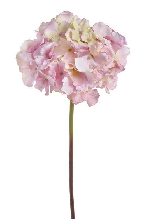 Umělá hortenzie,  celkem délka 65cm, hlava Ø 20cm