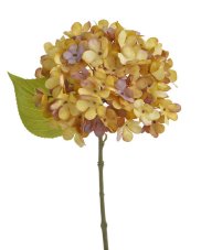Květ hortenzie na stonku s listy - květ Ø 14 cm, dl. 33 cm