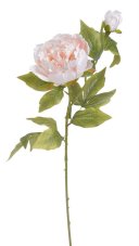 Umělá pivoňka s květem a poupětem, květ Ø10cm, celková dl.67cm