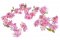 Girlanda kvetoucí umělé višně dl. 180cm_03