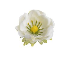 Hlavička umělé anemone - sasanky, hlavička Ø 6cm - 12ks