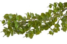 Girlanda z umělých větviček eukalyptu dl.180 cm