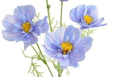 Umělá kvetoucí květina, květ Ø 11cm, zápich dl. 86cm