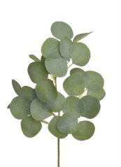 Umělá větvička eukaliptus populus dl. 36cm