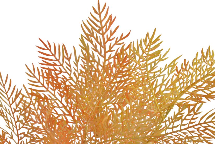 Větvička umělého kapradí 95cm - oranžové 03