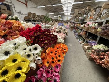 Nejširší výběr umělých květin a dekorací na jednom místě