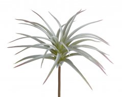 Umělá rostlina  sukulent aloe 16cm barva 132