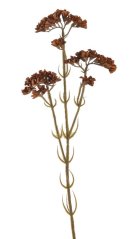 Podzimní květina umělá kvetoucí statice dl. 62cm