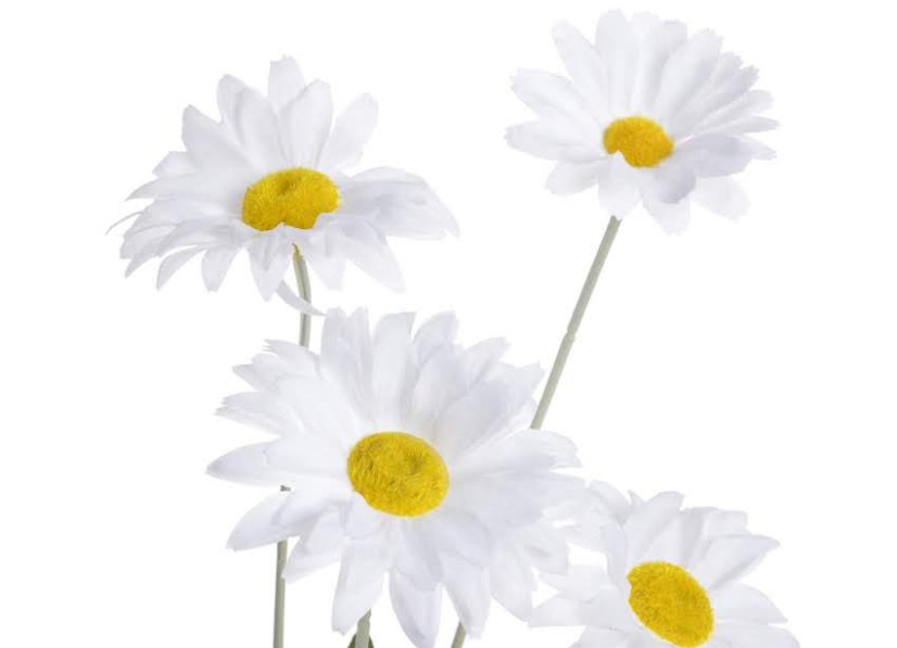 Umělá kopretina, 4 květy Ø 8cm, zápich dl. 60cm