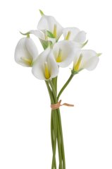 Svazek umělých kal, hlavička 7cm dl. 37cm - 7 kusů