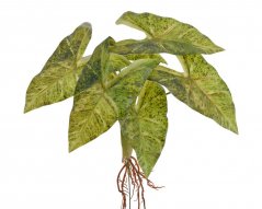 Umělá rostlina syngonium s kořenem dl. 30cm