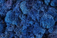 Island Moss – stabilizovaný dekorační mech 250 g