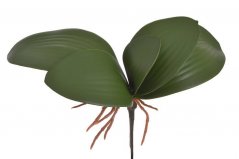 Umělé orchidejové listy s kořínky dl. 27 cm