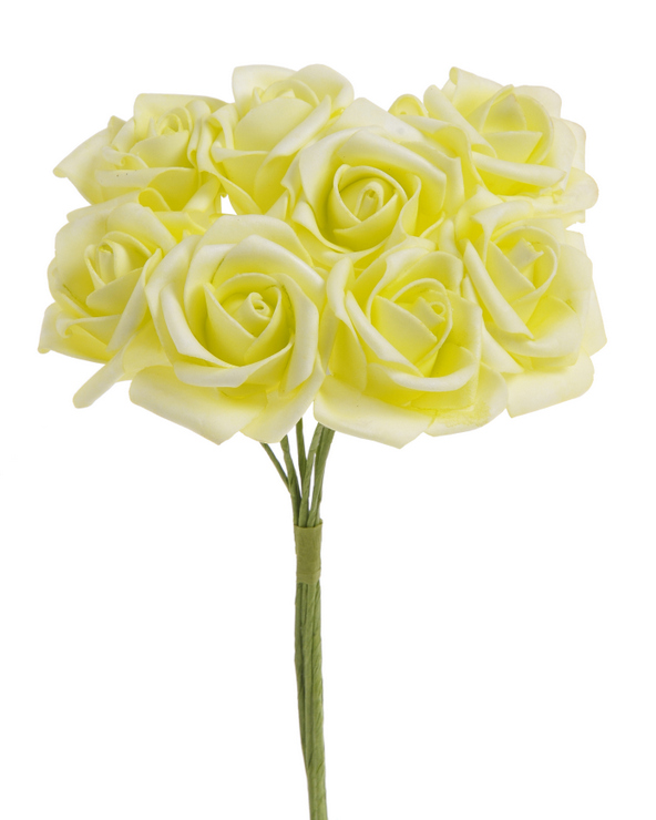 162CAN2180-8_20 růže 8ks