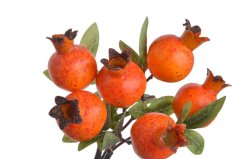 Svazek větviček granátového jablka s listy dl. 34cm - 3 ks