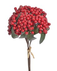 Hloh s plody – svazek 5 ks, 30 cm