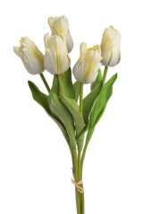 Tulipán papouščí 5 ks ve svazku s listy, 32 cm, barva 01